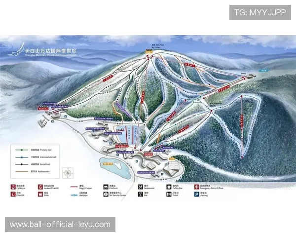 滑雪圈常见级别划分与雪道颜色说明